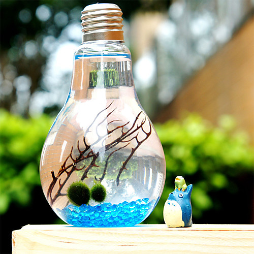 Maceta de cumpleaños simples micro cristal paisaje botella de ...